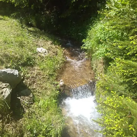 Vikend Kuca Bela Reka